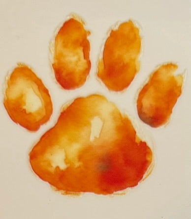 Paw Prints