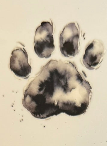 Paw Prints