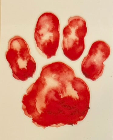Paw Prints