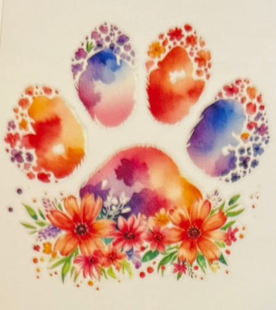 Paw Prints
