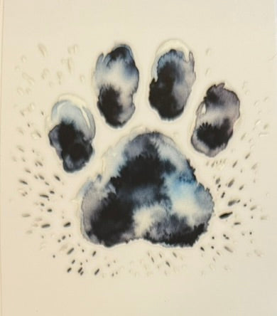 Paw Prints