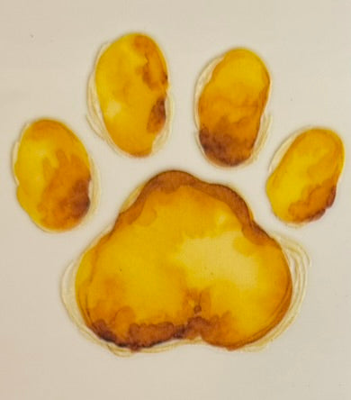 Paw Prints