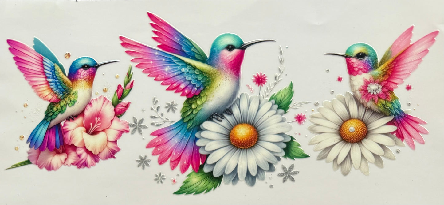 Hummingbirds