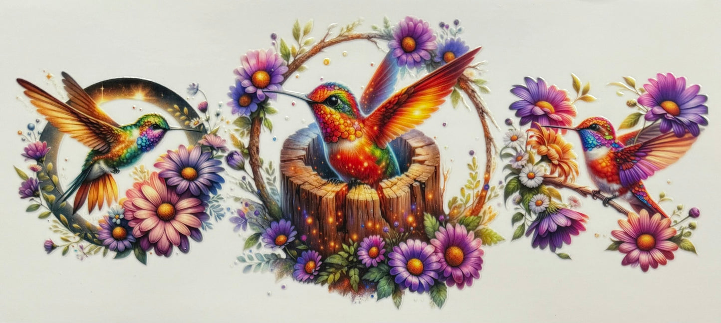 Hummingbirds