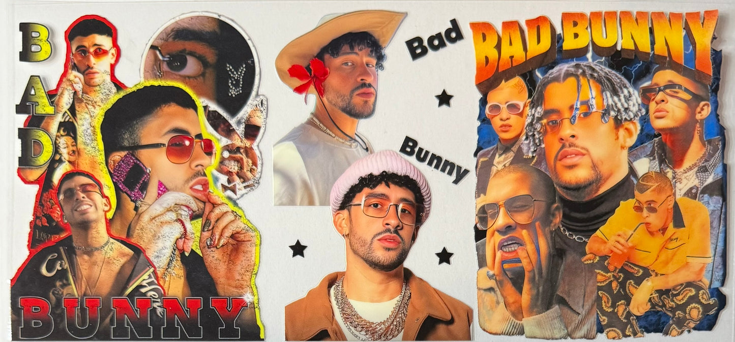 Celebrities / Singers