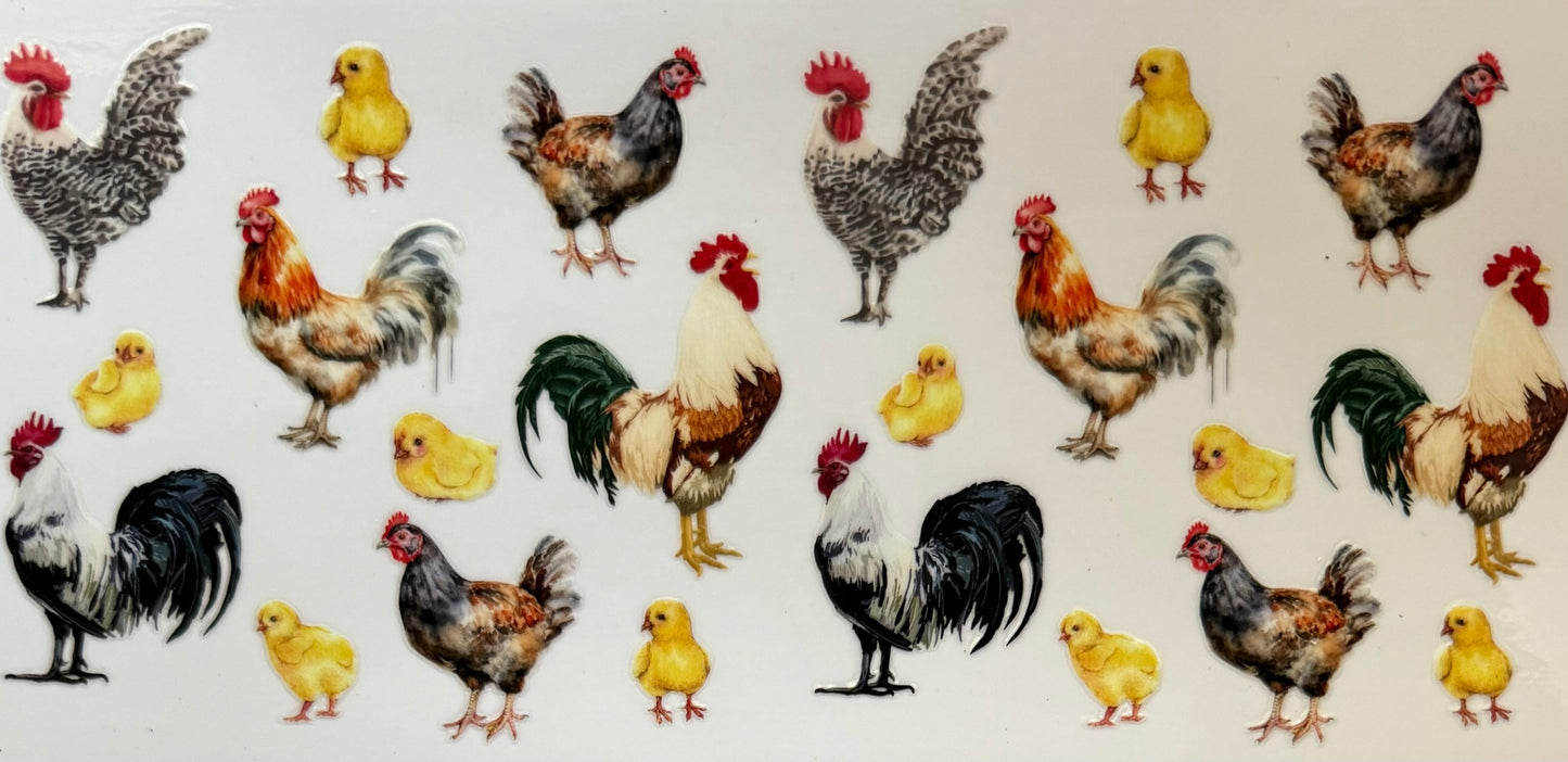 Animals