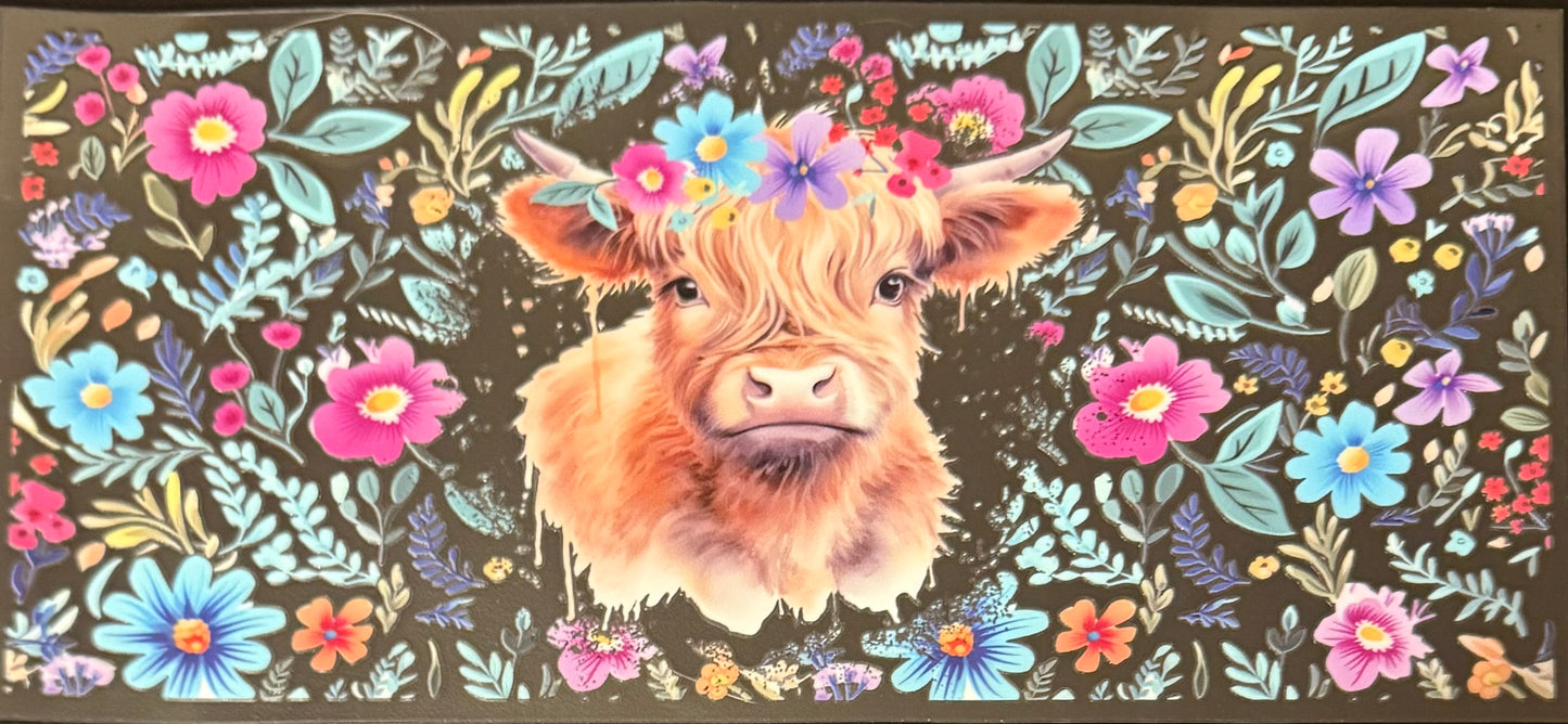 Highland Cow