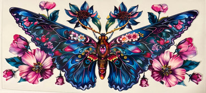 Butterflies