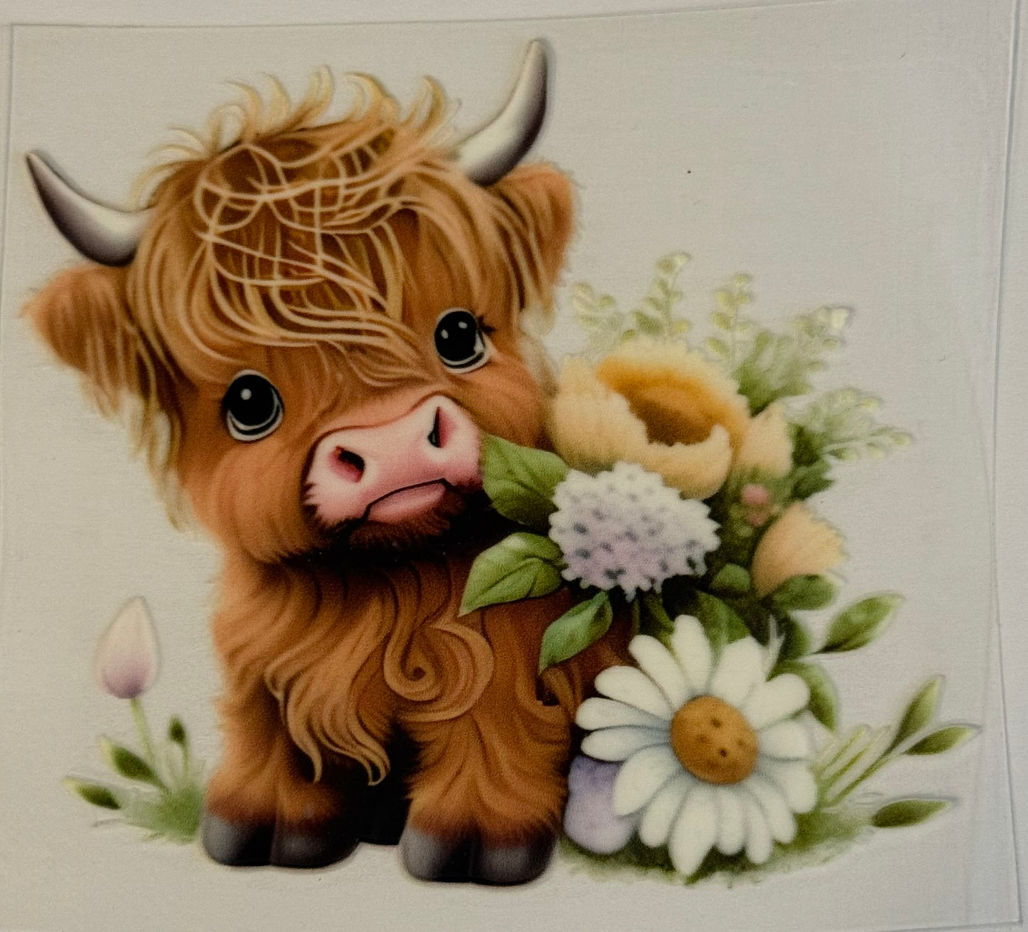 Animals DECALS