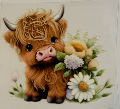 Animals DECALS