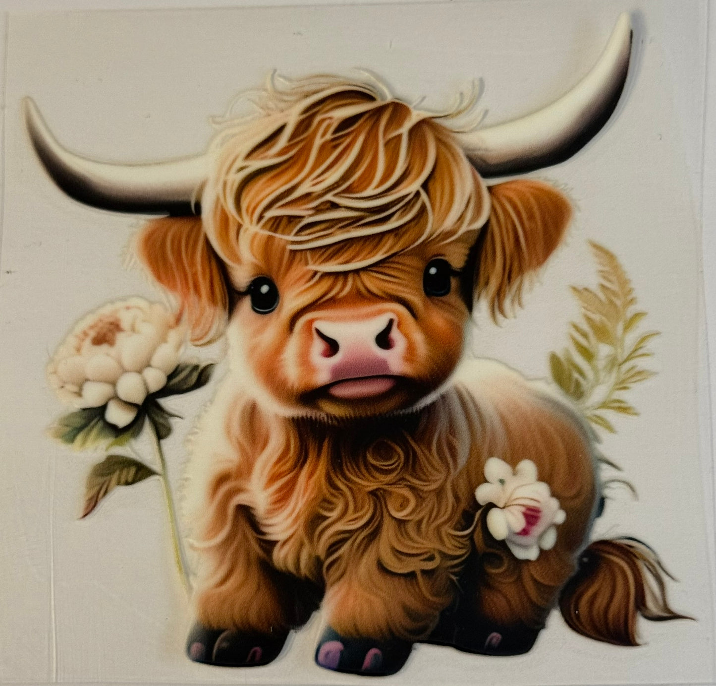 Animals DECALS