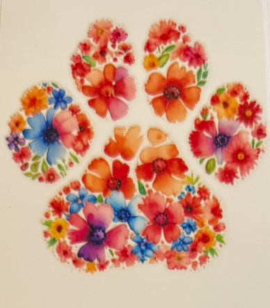 Paw Prints