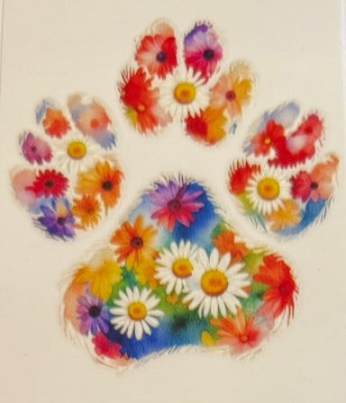 Paw Prints