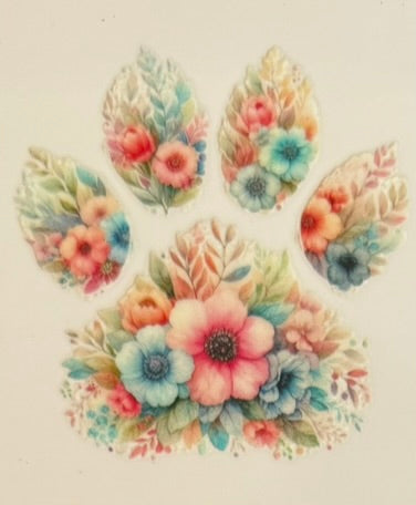 Paw Prints
