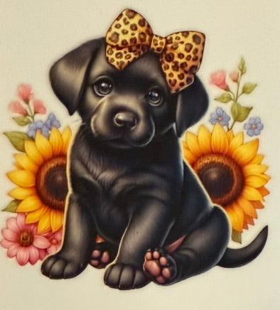 Animals DECALS