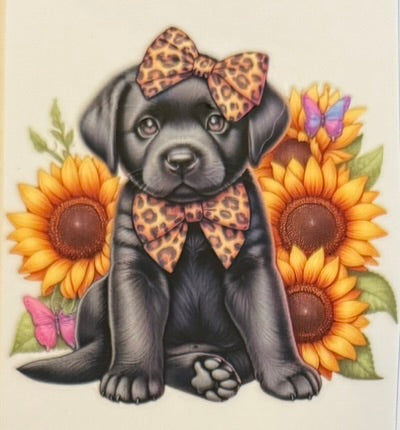 Animals DECALS