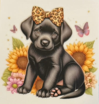 Animals DECALS