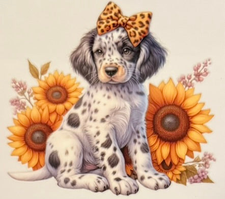 Animals DECALS