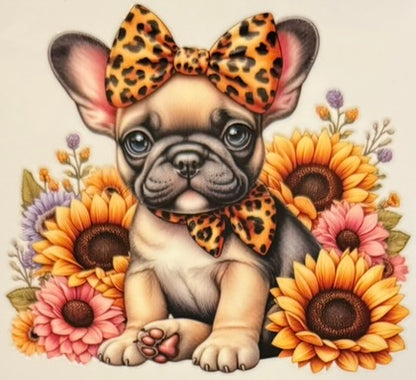 Animals DECALS