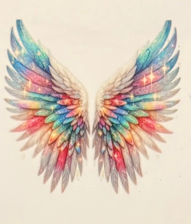 Angel Wings DECALS