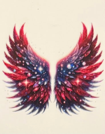 Angel Wings DECALS