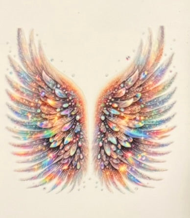 Angel Wings DECALS