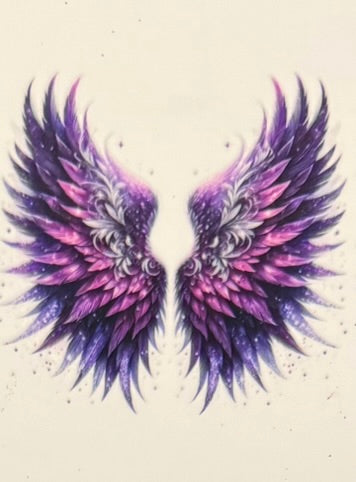 Angel Wings DECALS