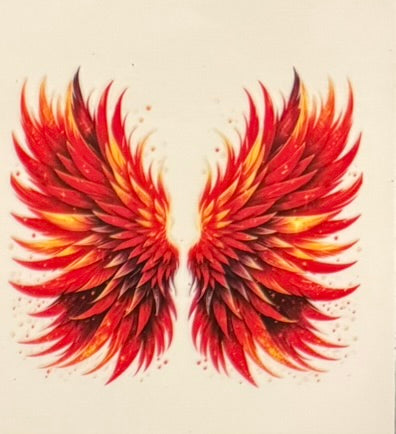 Angel Wings DECALS