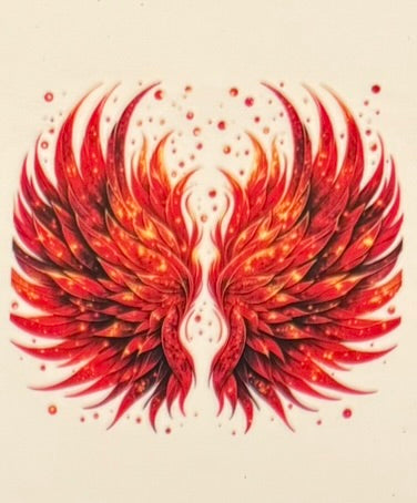Angel Wings DECALS