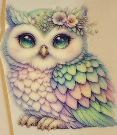 Animals DECALS