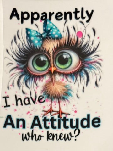Quirky Birds