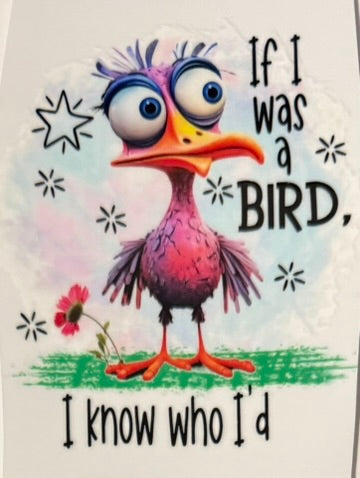 Quirky Birds