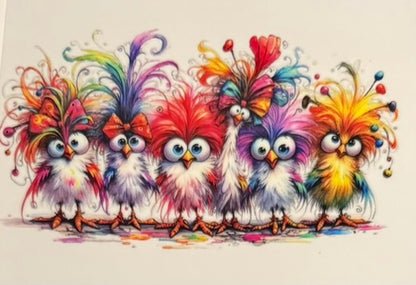 Quirky Birds