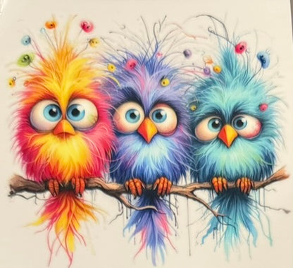 Quirky Birds