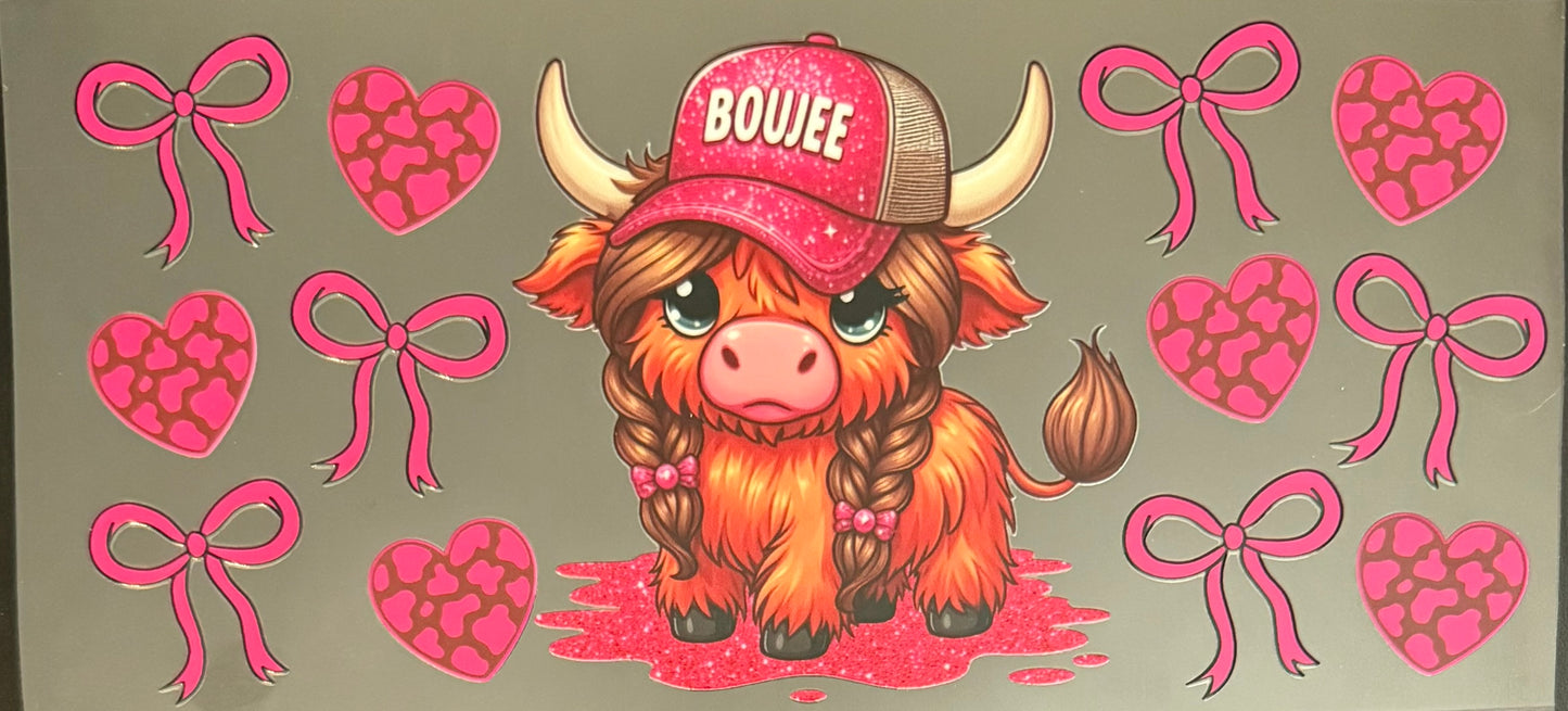 Highland Cow