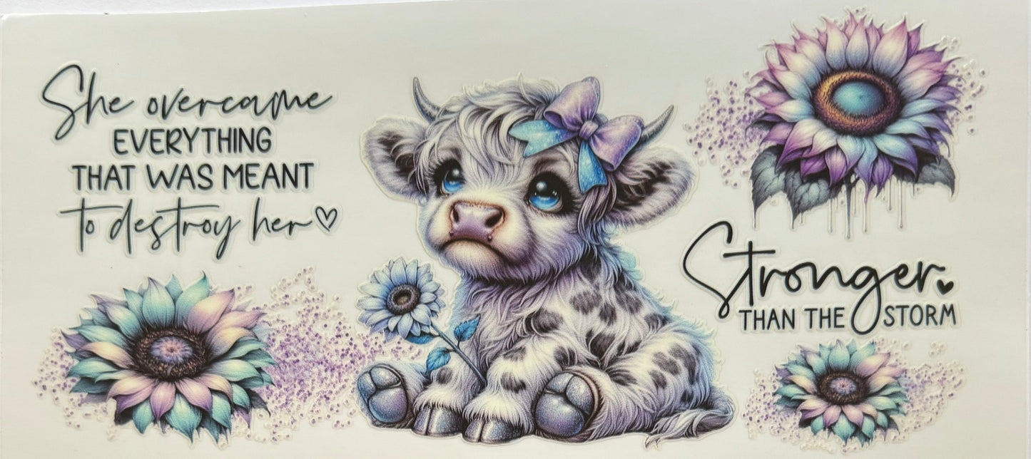 Highland Cow