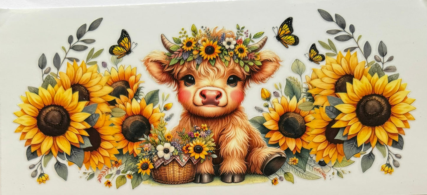 Highland Cow