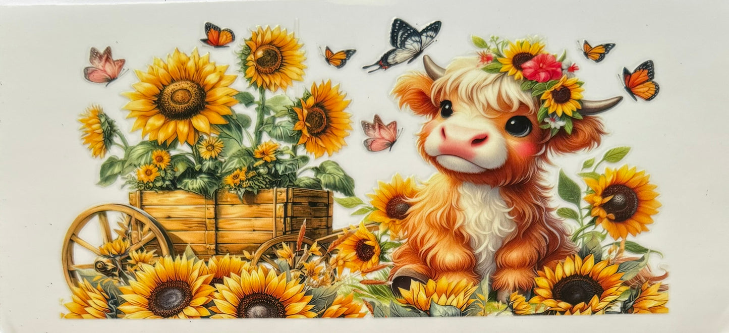 Highland Cow