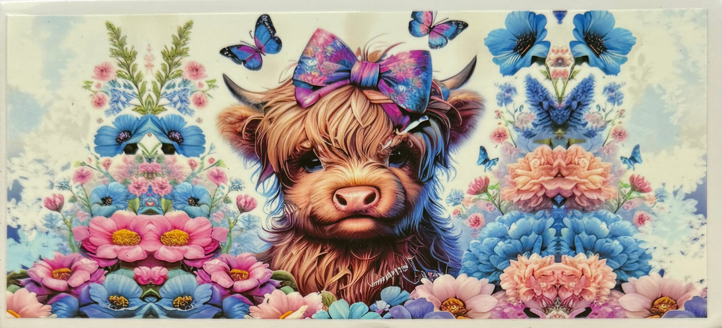 Highland Cow