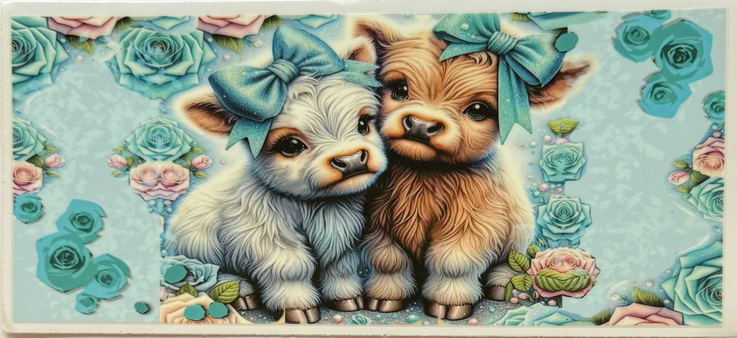 Highland Cow