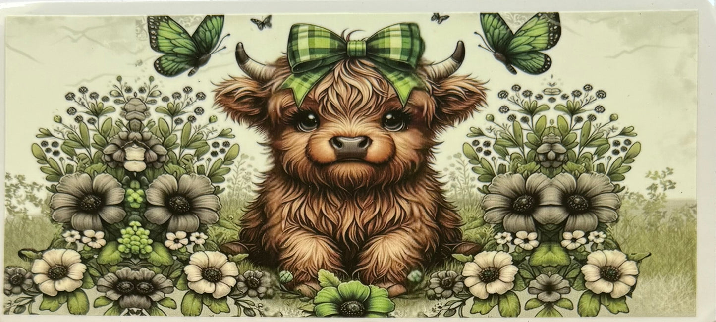 Highland Cow