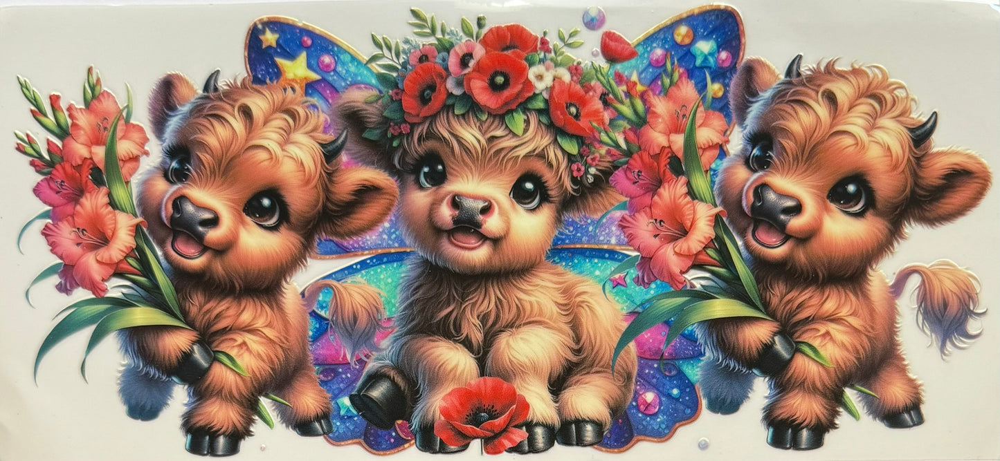 Highland Cow