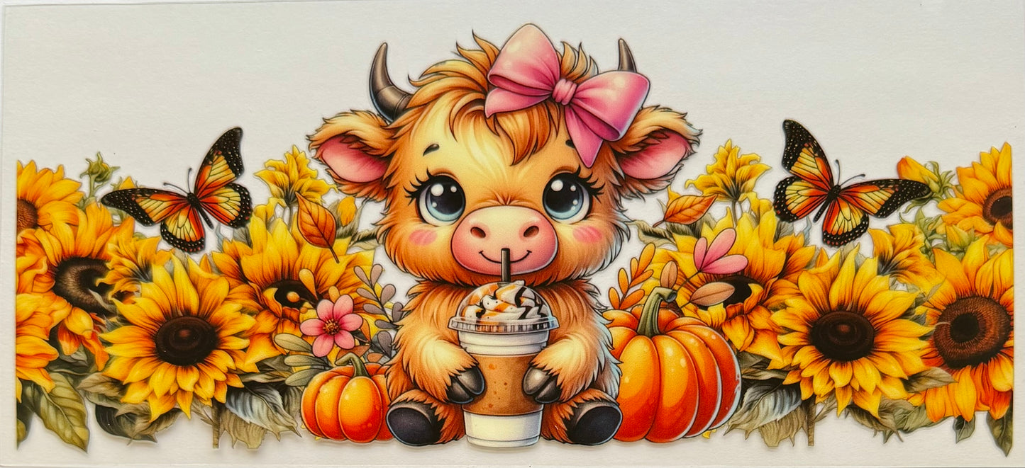 Highland Cow
