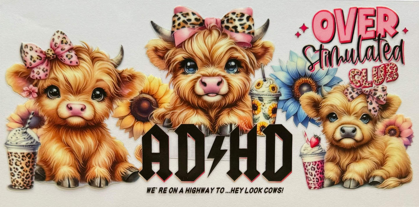 Highland Cow
