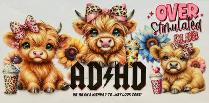 Highland Cow