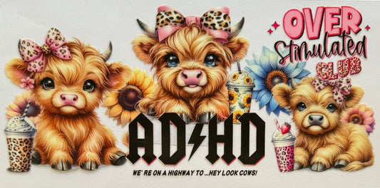 Highland Cow