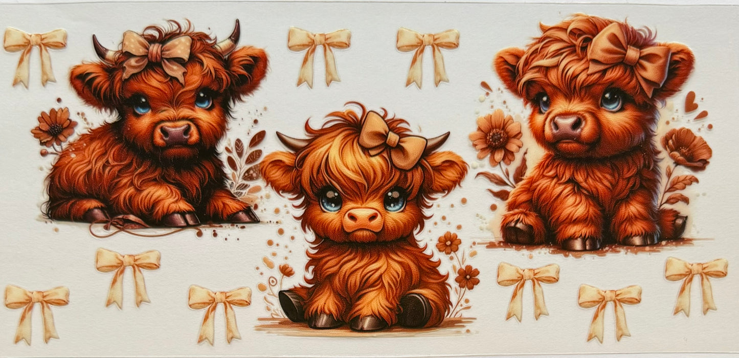 Highland Cow