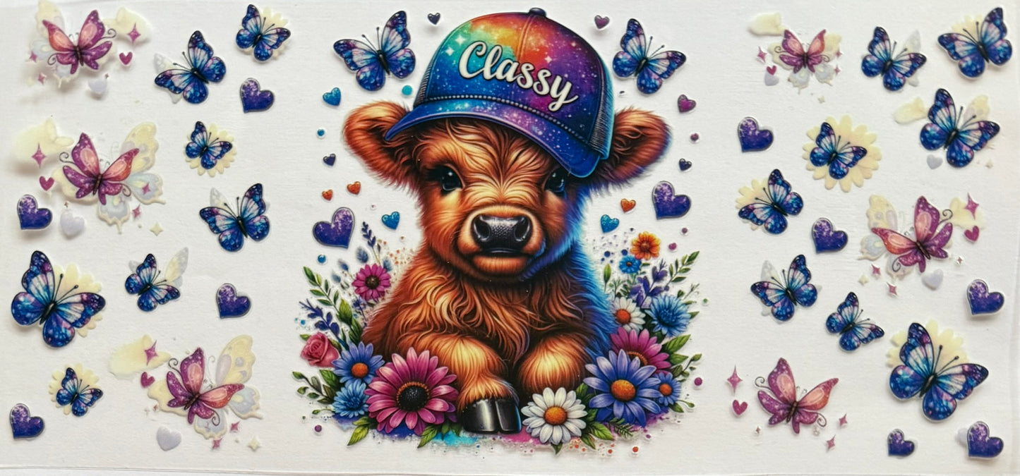 Highland Cow