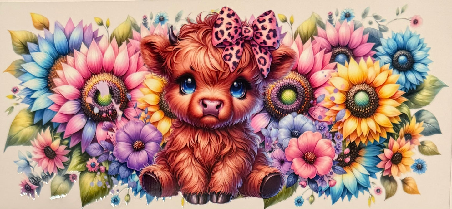 Highland Cow
